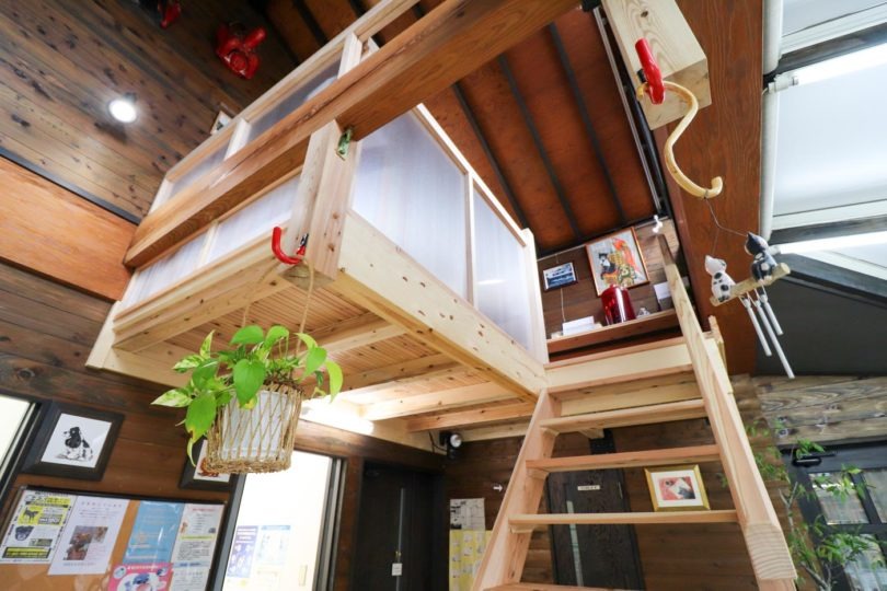 天空の待合室階段